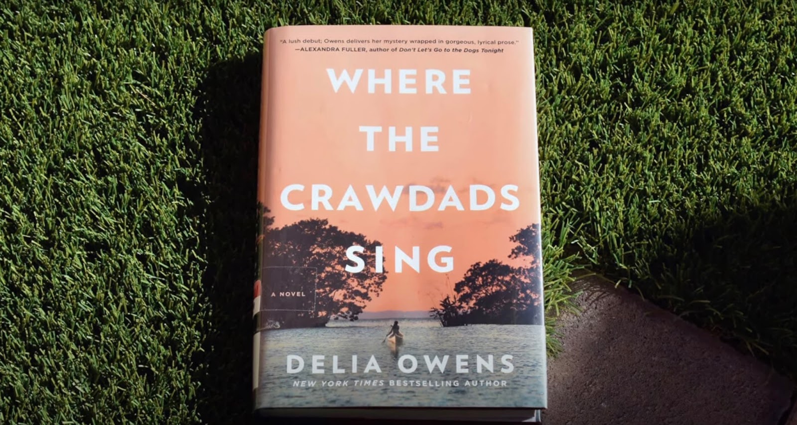 Comparing “Where the Crawdads Sing”: Book vs. Movie